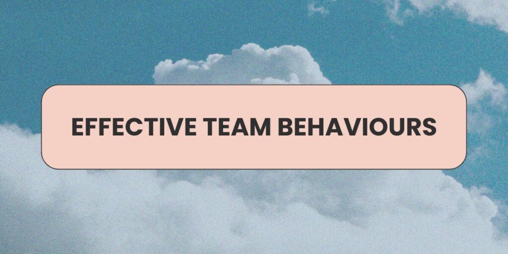 Effective team behaviours